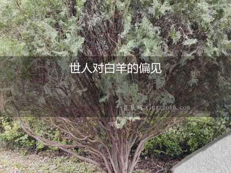 世人對白羊的偏見