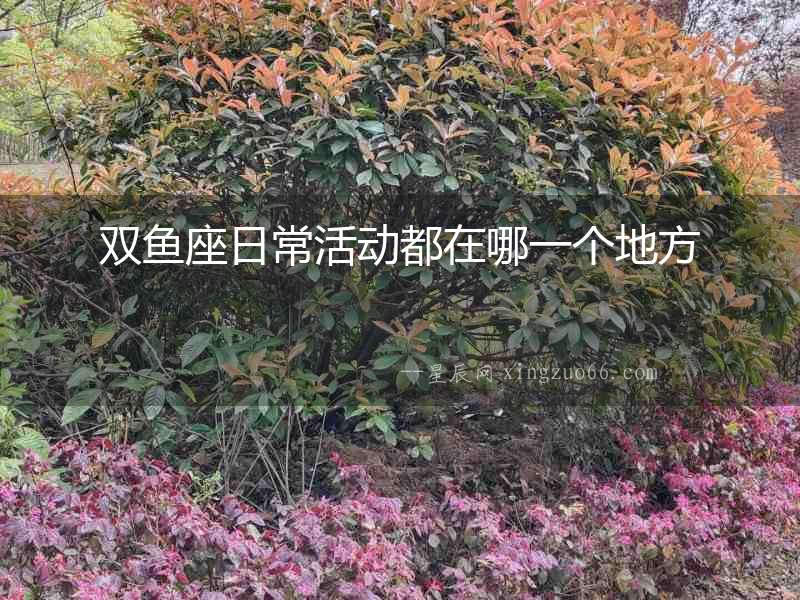 雙魚座日?；顒佣荚谀囊粋€(gè)地方