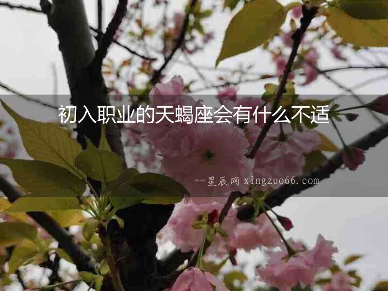初入職業(yè)的天蝎座會有什么不適