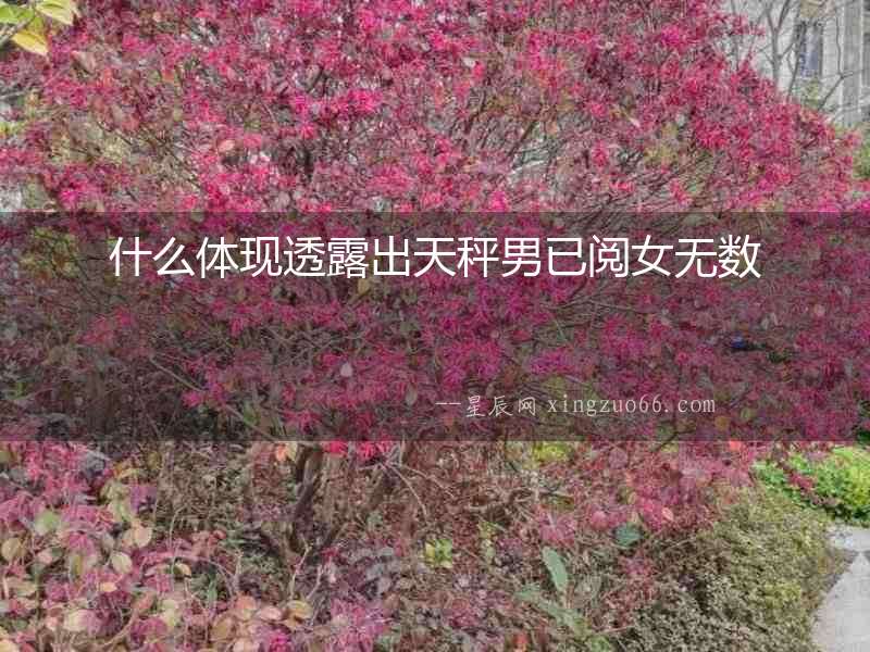 什么體現(xiàn)透露出天秤男已閱女無數(shù)