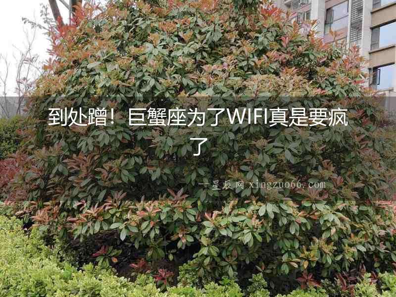 到處蹭！巨蟹座為了WIFI真是要瘋了