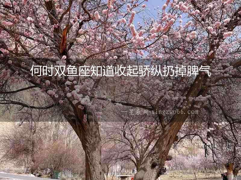 何時雙魚座知道收起驕縱扔掉脾氣