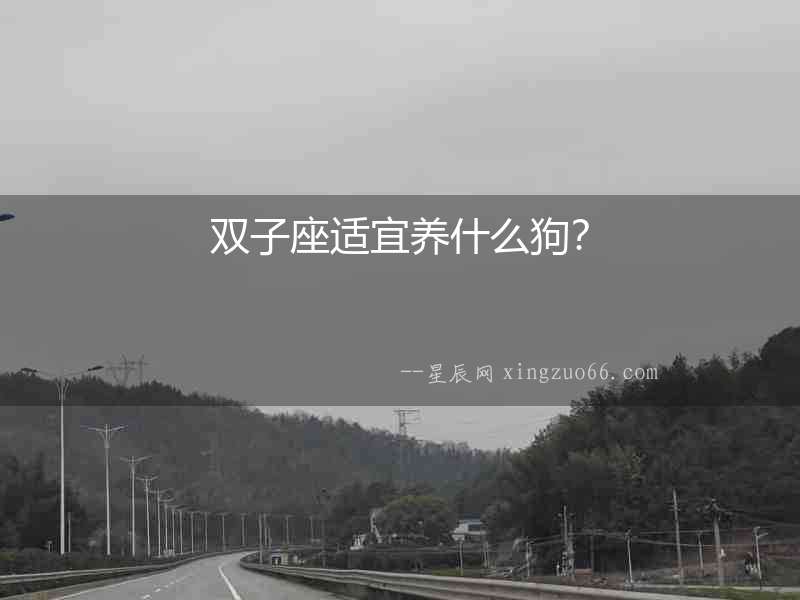 雙子座適宜養(yǎng)什么狗？