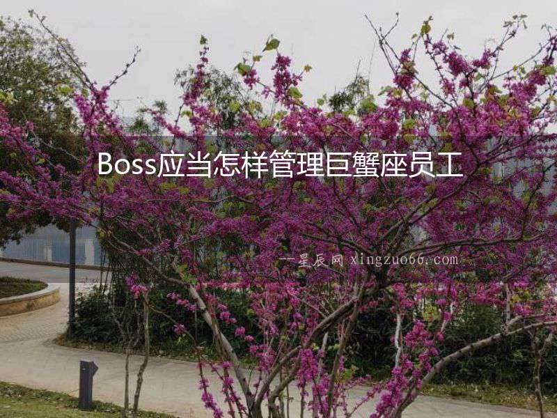 Boss應(yīng)當(dāng)怎樣管理巨蟹座員工