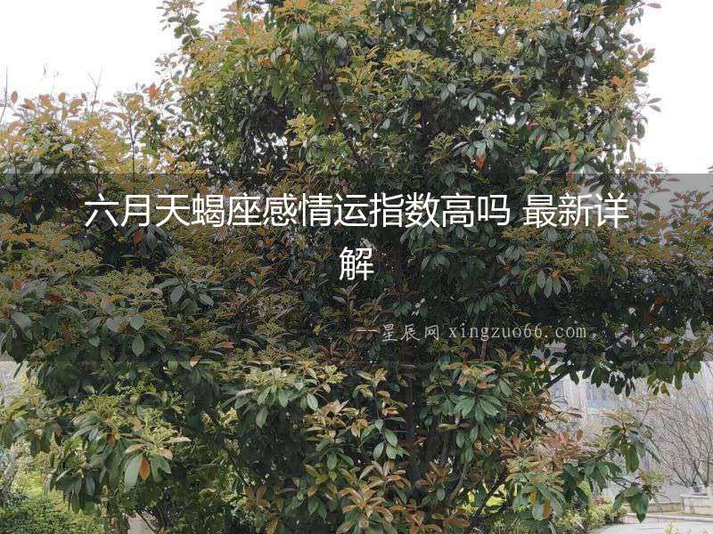 六月天蝎座感情運指數高嗎 最新詳解