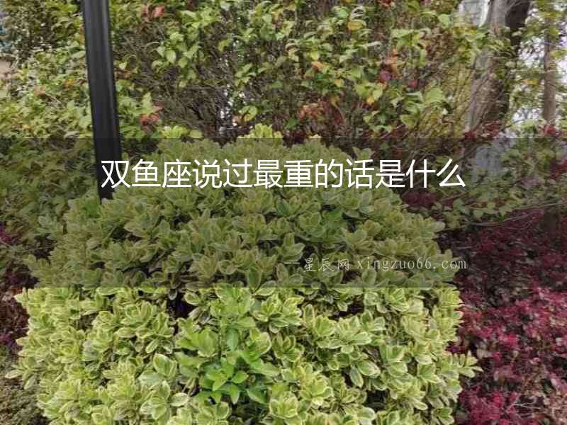 雙魚座說過最重的話是什么