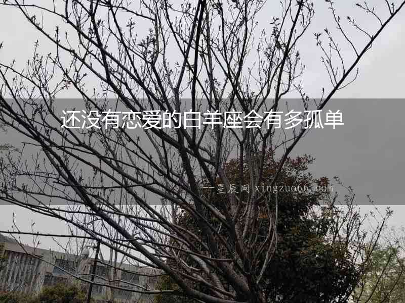 還沒有戀愛的白羊座會(huì)有多孤單
