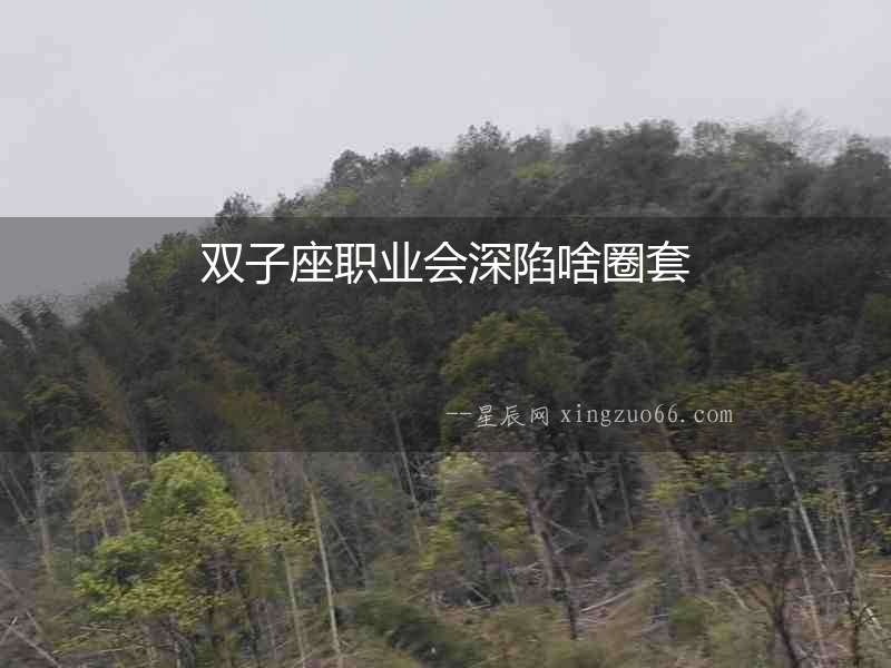 雙子座職業(yè)會(huì)深陷啥圈套