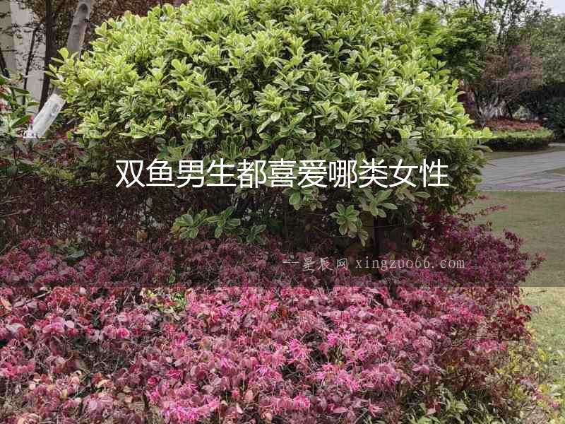 雙魚男生都喜愛哪類女性
