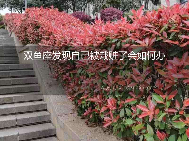 雙魚座發現自己被栽贓了會如何辦