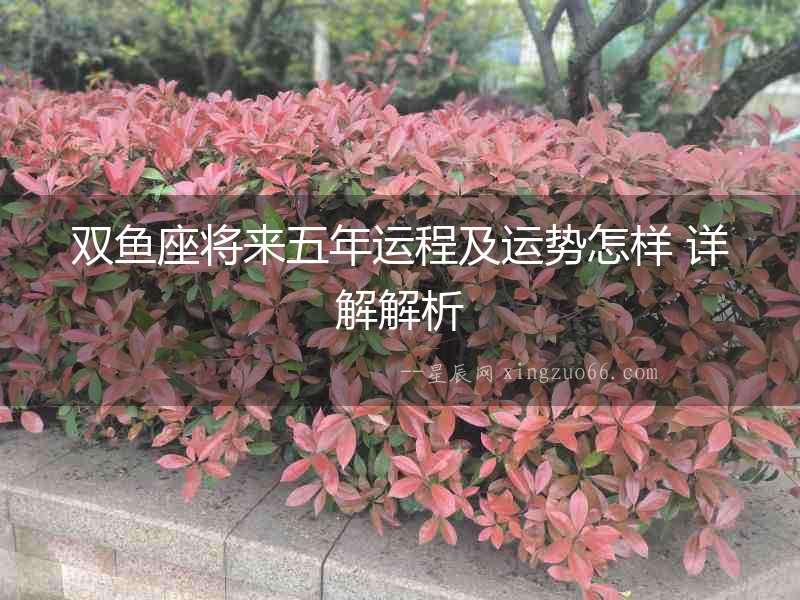雙魚座將來(lái)五年運(yùn)程及運(yùn)勢(shì)怎樣 詳解解析