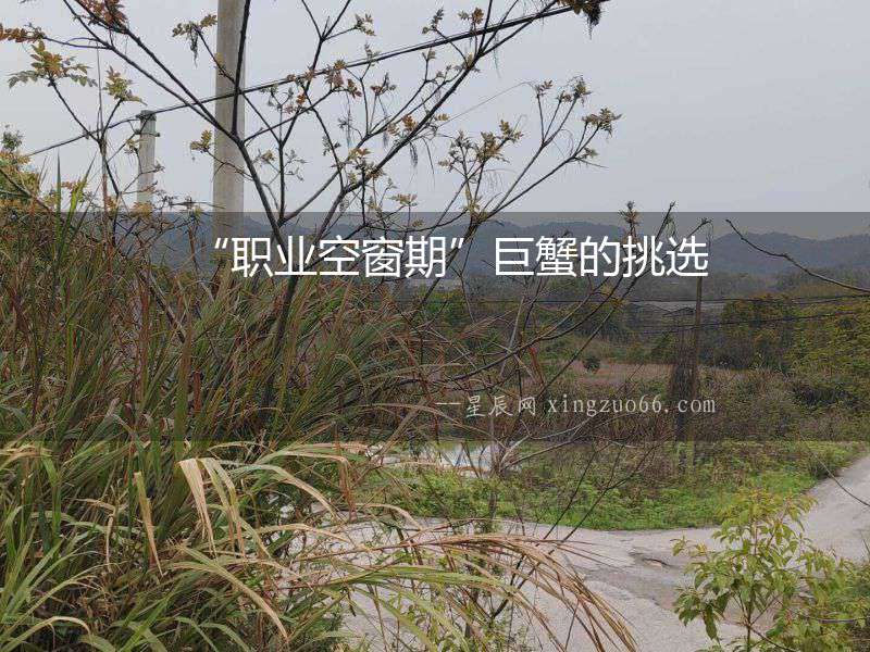 “職業(yè)空窗期”巨蟹的挑選
