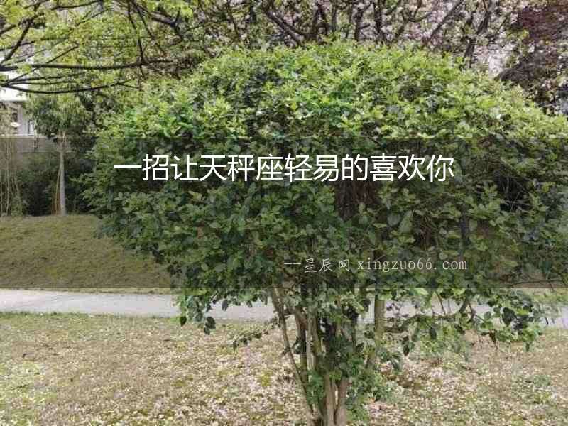一招讓天秤座輕易的喜歡你
