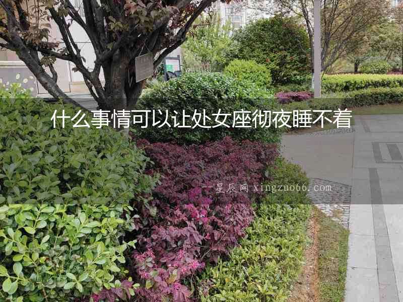 什么事情可以讓處女座徹夜睡不著