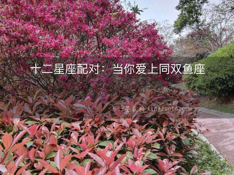十二星座配對：當你愛上同雙魚座