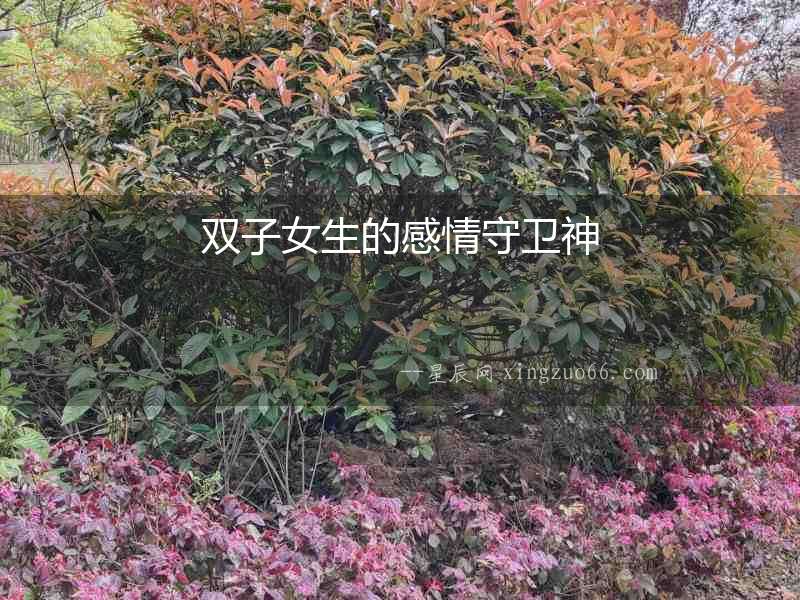 雙子女生的感情守衛神