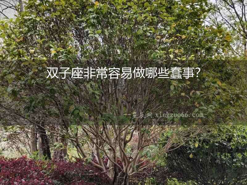雙子座非常容易做哪些蠢事？