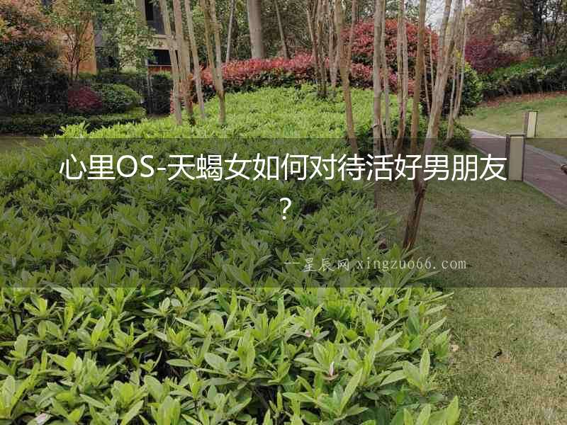心里OS-天蝎女如何對(duì)待活好男朋友？