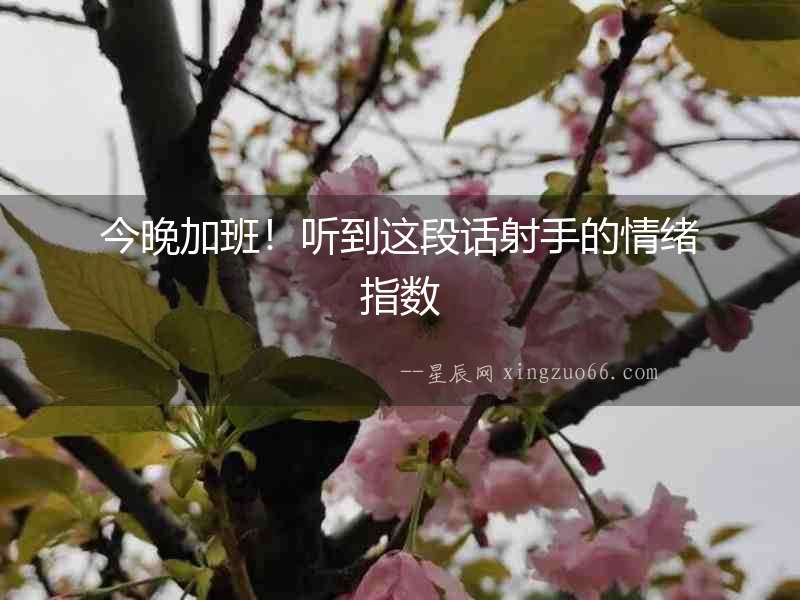 今晚加班！聽到這段話射手的情緒指數(shù)