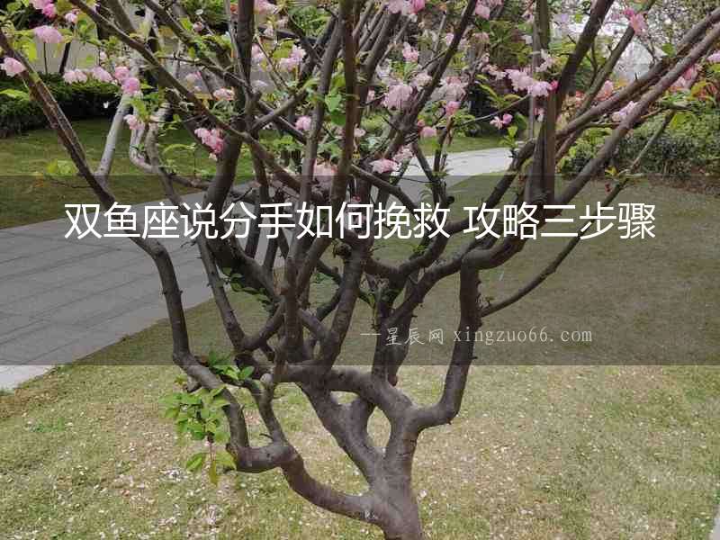雙魚(yú)座說(shuō)分手如何挽救 攻略三步驟
