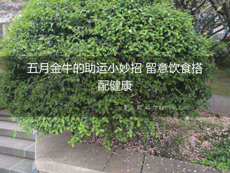 五月金牛的助運小妙招 留意飲食搭配健康
