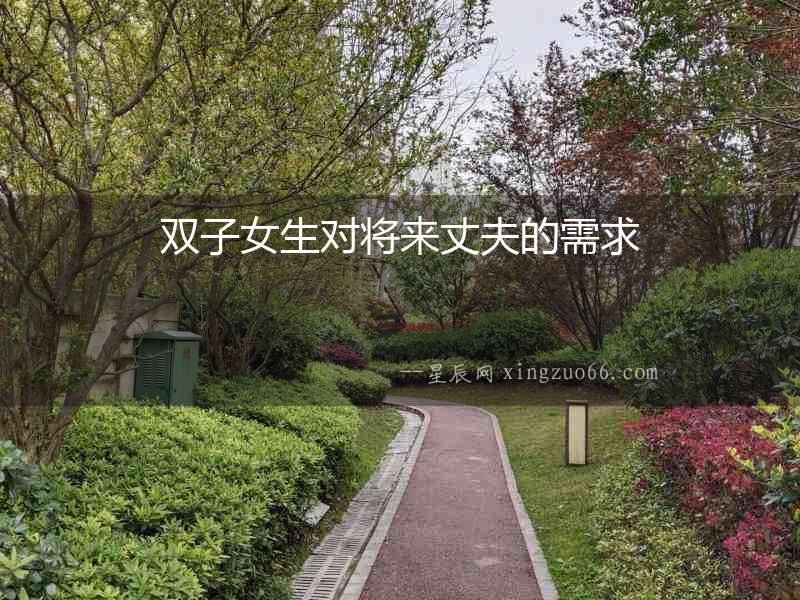 雙子女生對將來丈夫的需求
