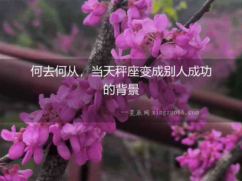 何去何從，當天秤座變成別人成功的背景