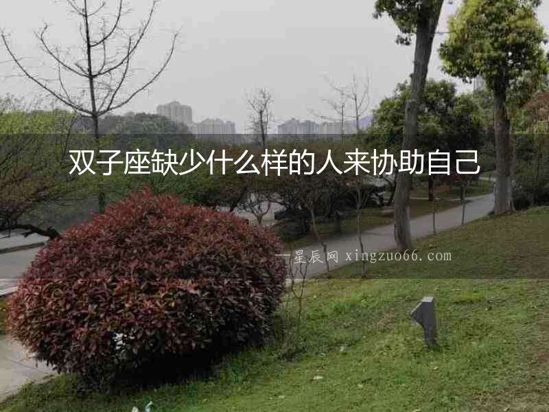 雙子座缺少什么樣的人來協助自己