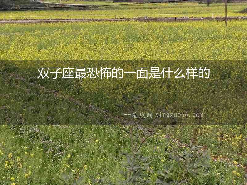 雙子座最恐怖的一面是什么樣的