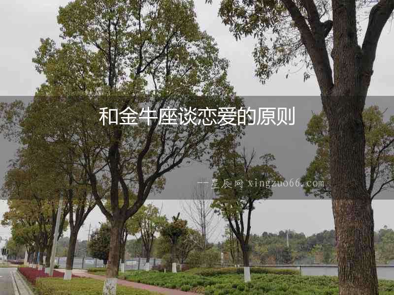 和金牛座談戀愛的原則