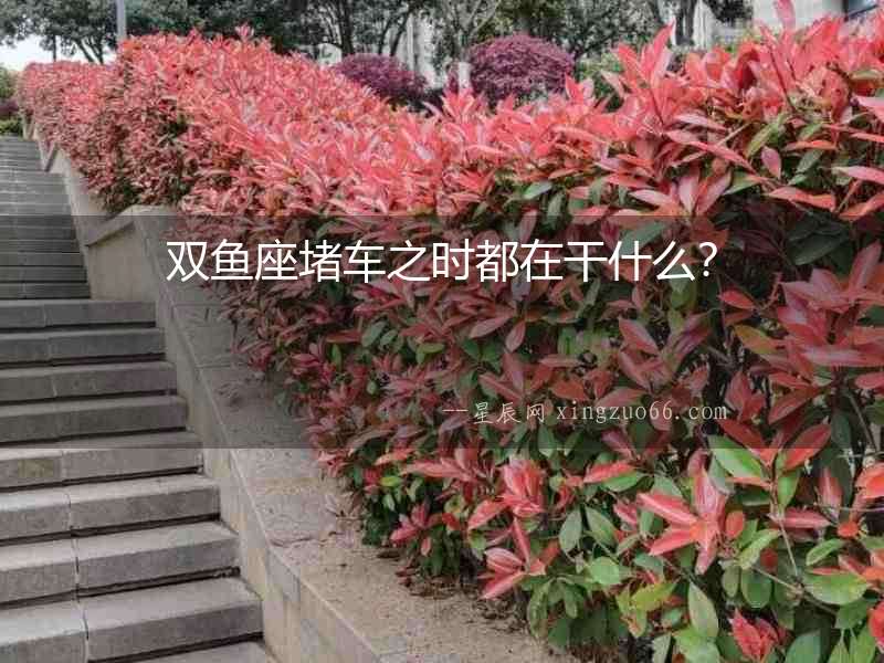 雙魚座堵車之時都在干什么？