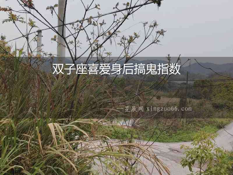 雙子座喜愛身后搞鬼指數(shù)