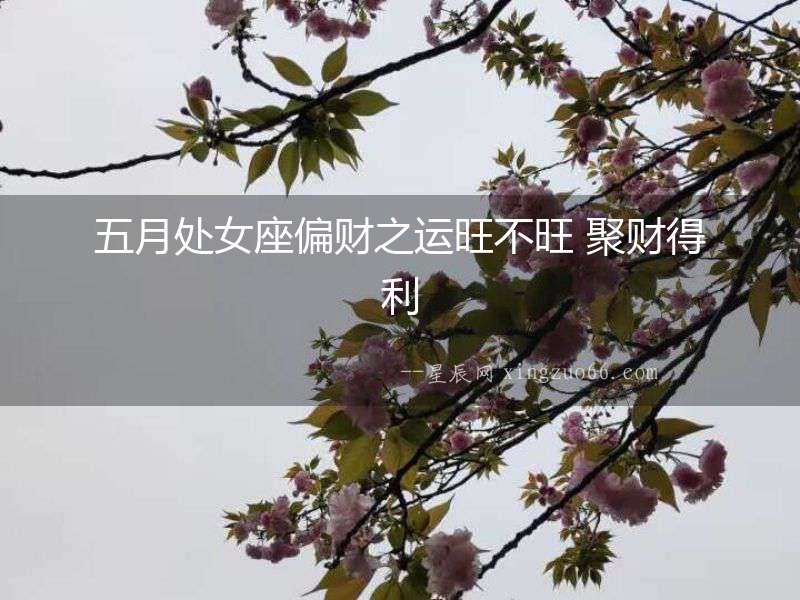 五月處女座偏財(cái)之運(yùn)旺不旺 聚財(cái)?shù)美? alt=
