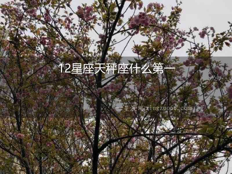 12星座天秤座什么第一