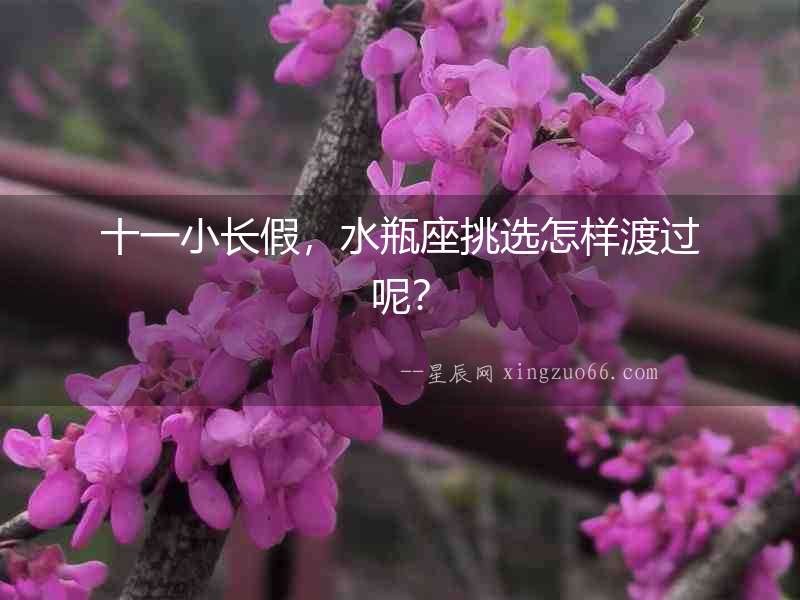 十一小長(zhǎng)假，水瓶座挑選怎樣渡過(guò)呢？