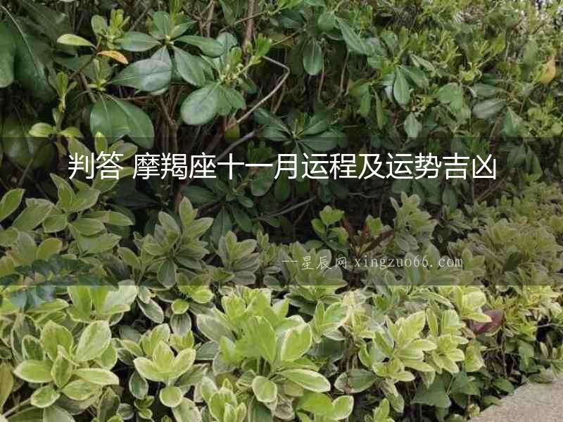 判答 摩羯座十一月運(yùn)程及運(yùn)勢(shì)吉兇