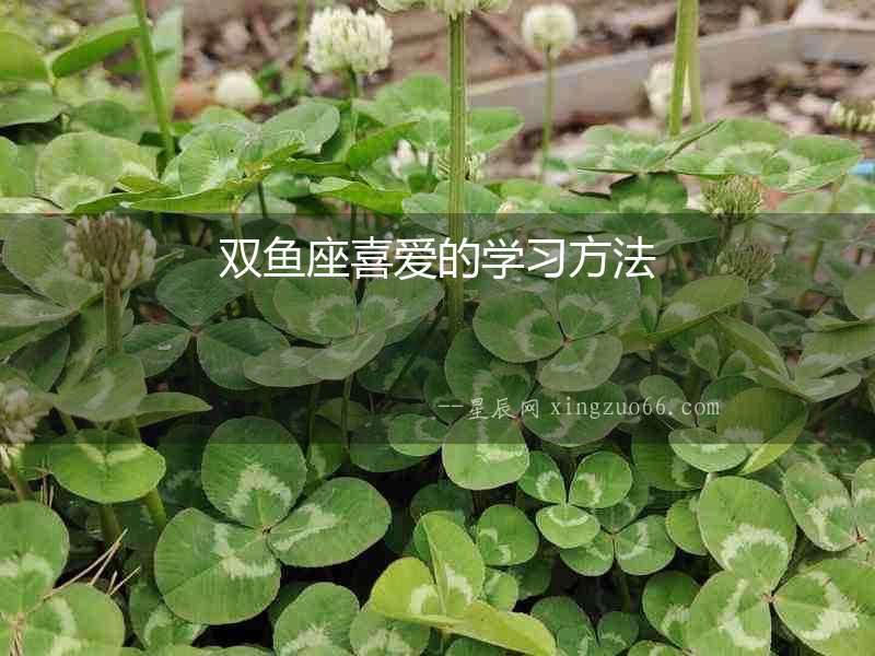 雙魚座喜愛的學習方法