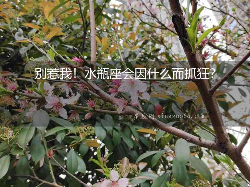 別惹我！水瓶座會因什么而抓狂？