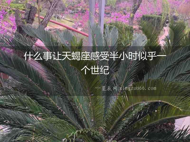 什么事讓天蝎座感受半小時似乎一個世紀