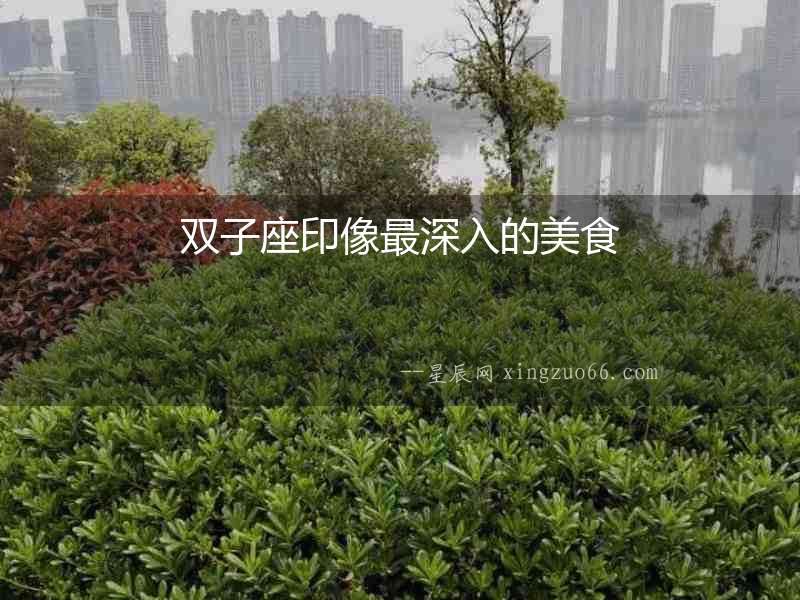 雙子座印像最深入的美食