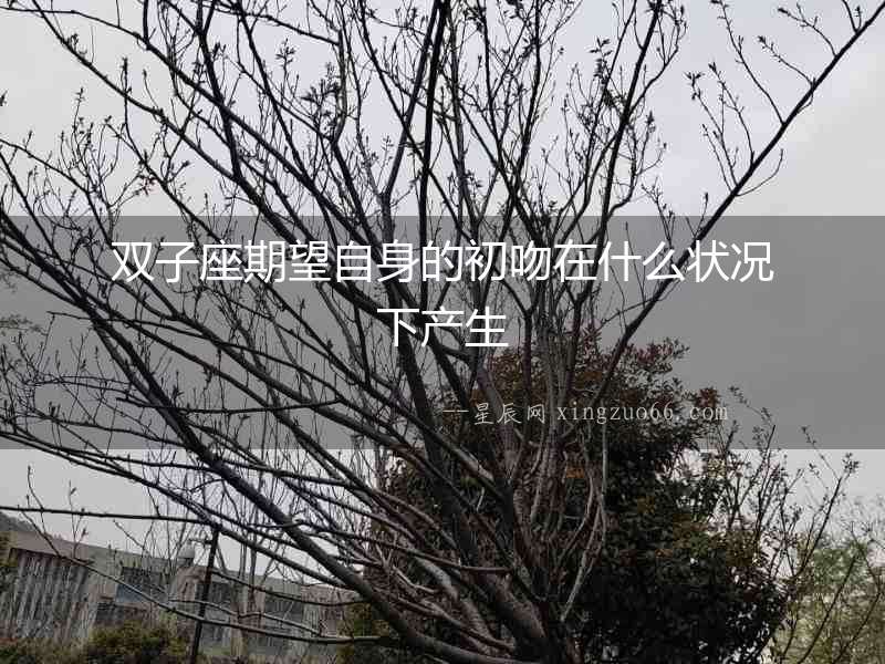 雙子座期望自身的初吻在什么狀況下產(chǎn)生