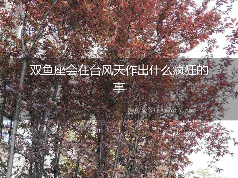 雙魚座會(huì)在臺(tái)風(fēng)天作出什么瘋狂的事
