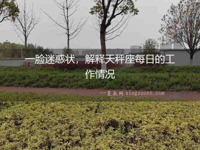 一臉迷惑狀，解釋天秤座每日的工作情況
