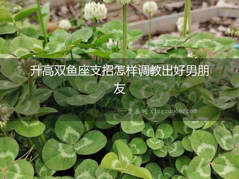 升高雙魚(yú)座支招怎樣調(diào)教出好男朋友