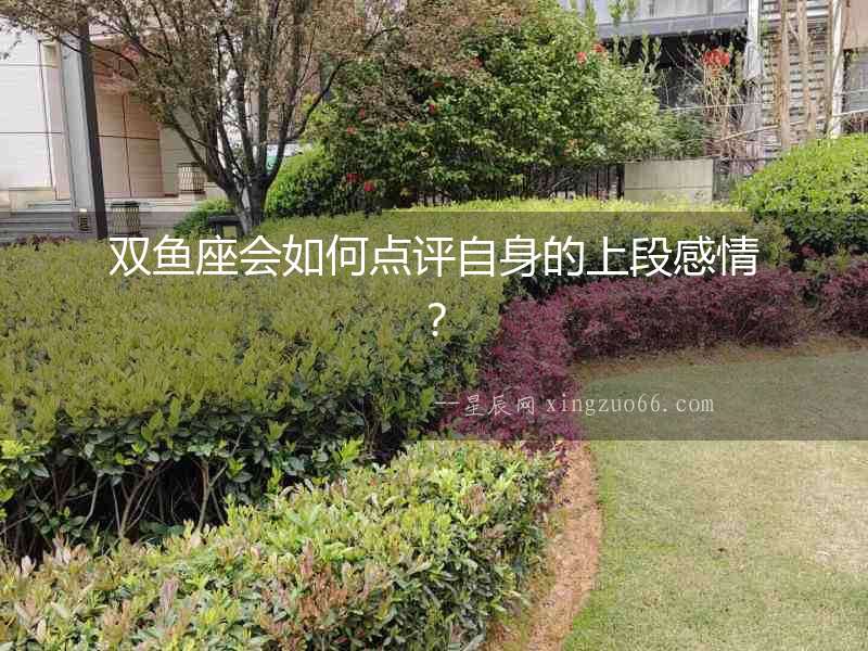 雙魚(yú)座會(huì)如何點(diǎn)評(píng)自身的上段感情？