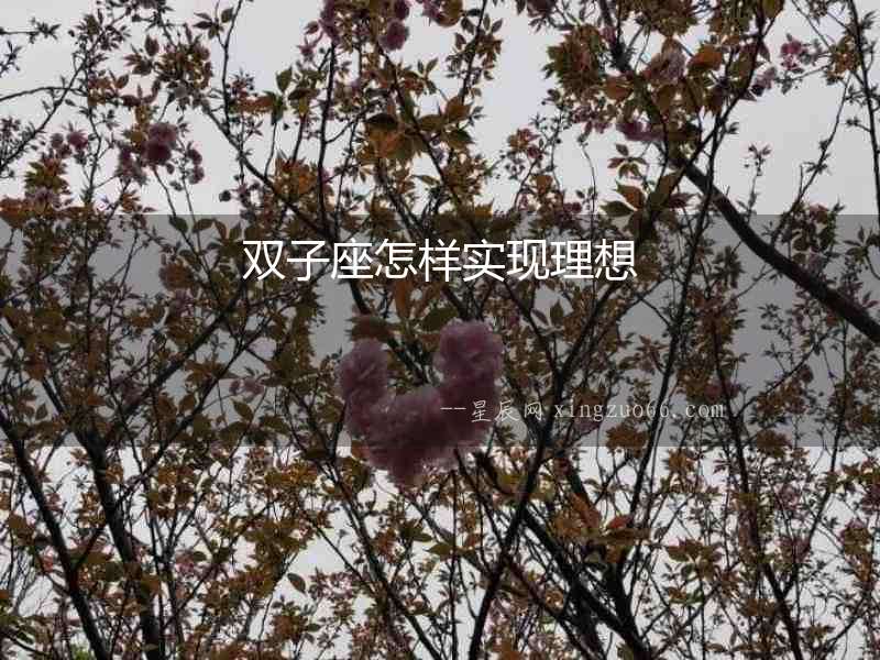 雙子座怎樣實現理想