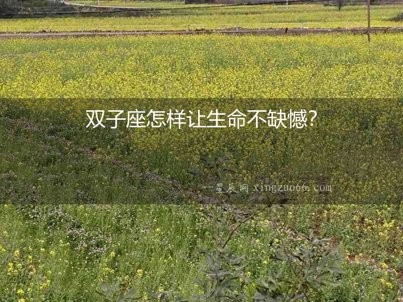 雙子座怎樣讓生命不缺憾？
