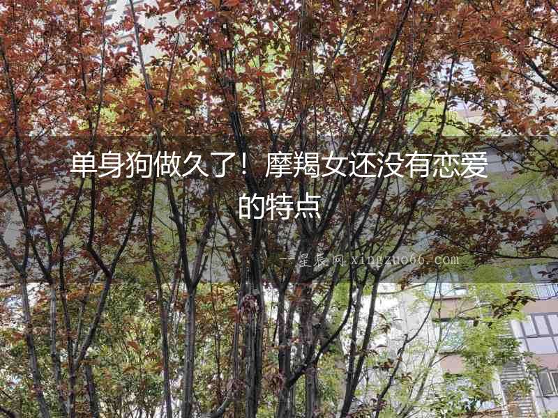 單身狗做久了！摩羯女還沒有戀愛的特點
