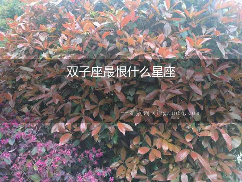 雙子座最恨什么星座