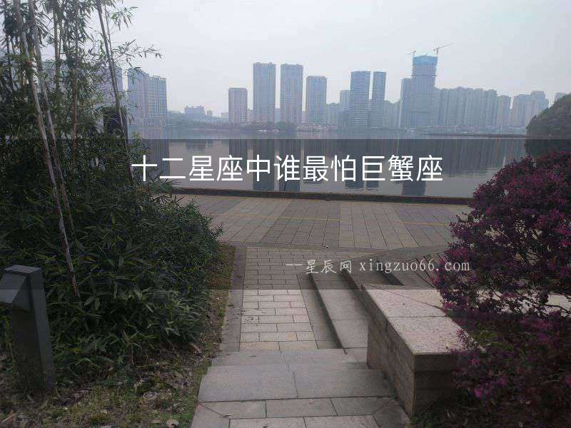 十二星座中誰(shuí)最怕巨蟹座